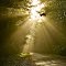 Shining Light of Life...Shine. (Celibate Rifles)