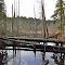 Beaver Pond