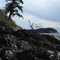 Near Sechelt, BC