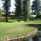 Hole #11 Newlands Championship Golf Course