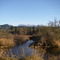 Early winter in Maple Ridge from 216th dyke