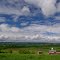 Summer View North across the Mohawk Valley