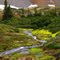 Mountain stream