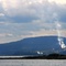 Reef and Pulp Mill