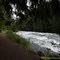North Section, River Trail