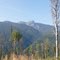 Lost on  Mt.Buchanan-1