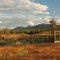 Cariboo Corral