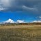 Cariboo Field