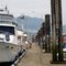 Port Edward Marina