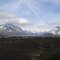 Looking for ptarmigans