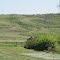 Green Folded Ridges In Not So Flat Prairie, Claybank SK May '12
