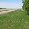 The Green Prairie Country Road, Claybank SK May '12