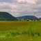 Tioga County Farm