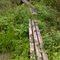 FLT M17 11.4 mi - Bridges, 3 4x4's, RR tie sills, 8', 4', and 12' long over old beaver dam E of Hill Rd, 4' and 3' to drainage