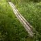 FLT M17 13.2 mi - Puncheon, 3 4x4's, 18' long, RR tie sills, next to S. Danby Rd