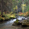 Star Creek