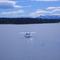pick up from airport lake