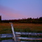 early morning from out house