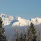 View From Kicking Horse