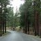 Monck Provincial Park
