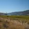Looking Towards Nicola Lake