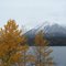 First Snow 2009