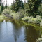 Lakelse Lake