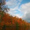 Stave Lake