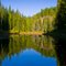 Reflections