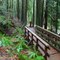 Hayward Reservoir Trail
