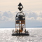 Cormorants on a Buoy near Comox British Columbia