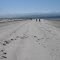 Tree Island beach