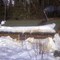 Survey cabin at Bob Quinn Lake