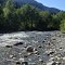 Trapline Cabin Backyard- West Kalum