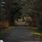 Walking along the Galloping Goose Regional Trail  in Langford British Columbia