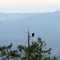 Overlooking Victoria and Juan de Fuca Strait from Mt. Work