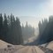 Winter Road - Murray River Valley