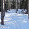 Snowshoeing
