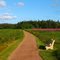 Greenwich National Park PEI
