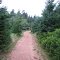 Trail System