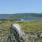 Granby Island - Labrador