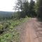 the road from Spicers Cove to Etonville, NS
