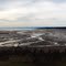Tidal flats in the bay at Apple River