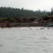 Spicer's Cove Kayak launch site
