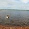 Oyster Fishing - Grand River - PEI