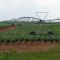 Potato Farm c/w gigantic irrigation machine