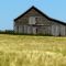 Barn with Hay