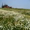 Prince Edward Island, Canada