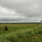 Tantramar Marsh