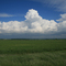Towering Cumulus Cloud
